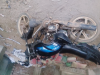 Walton fusion 125